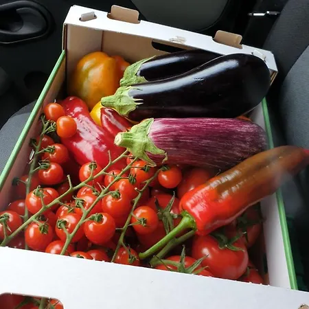 Bekemuehle בית הארחה Gransee