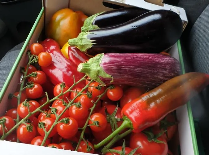 Bekemühle Pensión Gransee